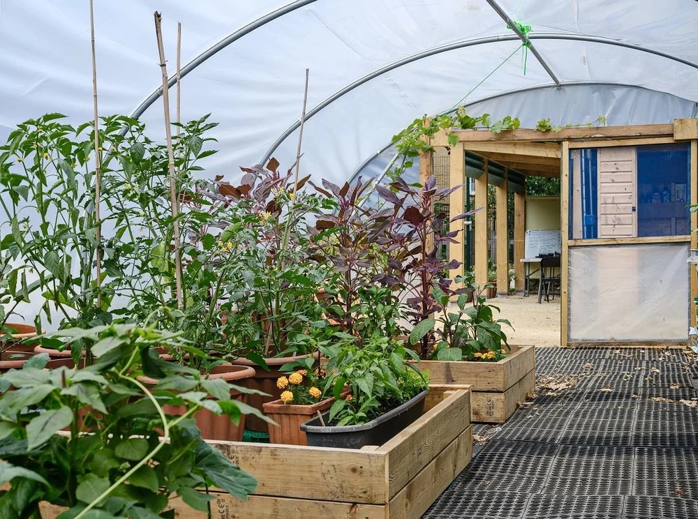 https://corstorphineinbloom.com/wp-content/uploads/2026/03/cabac-the2boctopus2bcommunity2bplant2bnursery2bwon2bthe2bbest2bedible2bgarden2bprize2bin2bislington2bin2bbloom2b20222b28129.webp